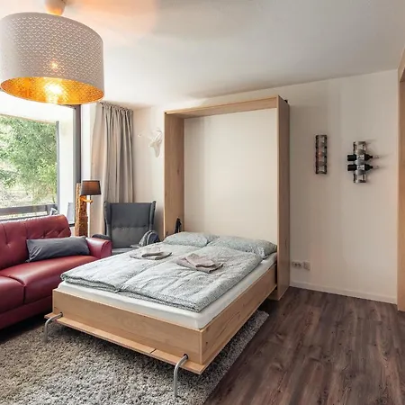 Supergemuetlich Und Mitten In Der Winterbergs Appartement