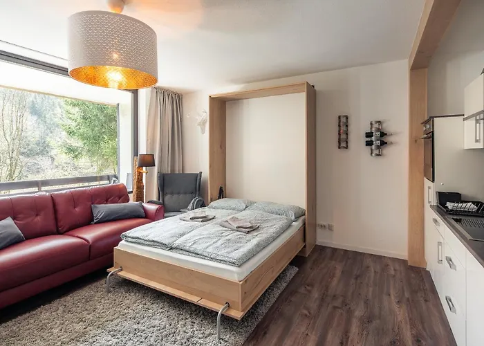 Supergemuetlich Und Mitten In Der Winterbergs Appartement